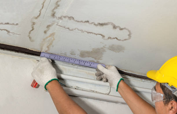 Reliable Mold Remediation contractor in Aquilla, TX by Water Damage Irwin